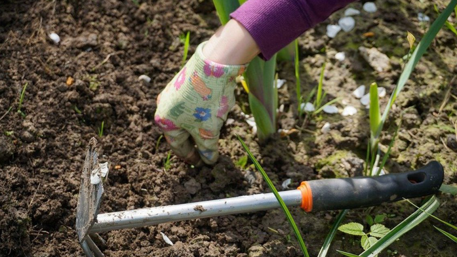 Воздвиження Господнє — чи можна 14 вересня працювати на городі