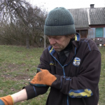 Чоловік, захищаючись, вбив вовка вилами: яка ситуація з поширенням сказу на Волині