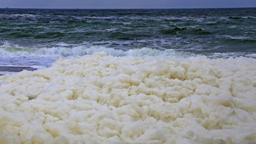 піна на Чорному морі в Одесі