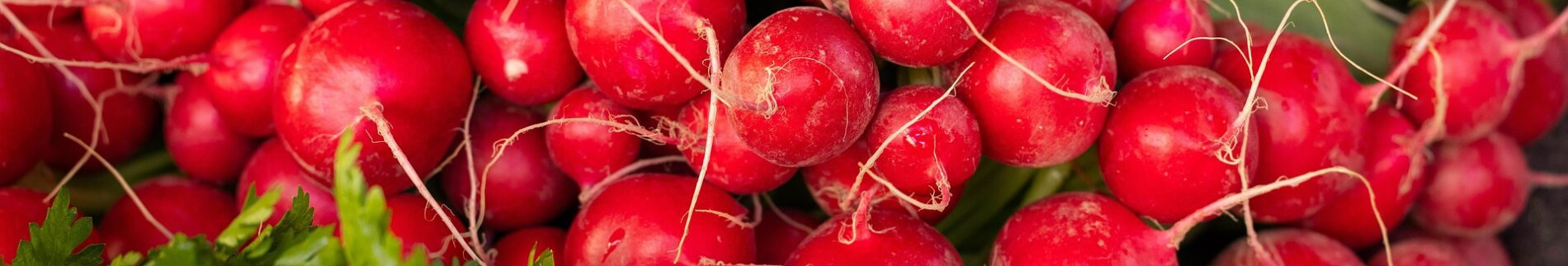 Як отримати гарний урожай редиски