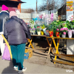 Які ціни на вазони перед 8 березня на ринку в прикордонному містечку на Волині