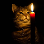 На Волині 9 грудня діятимуть обмеження електроенергії: коли вимикатимуть світло