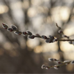 прогноз погоди