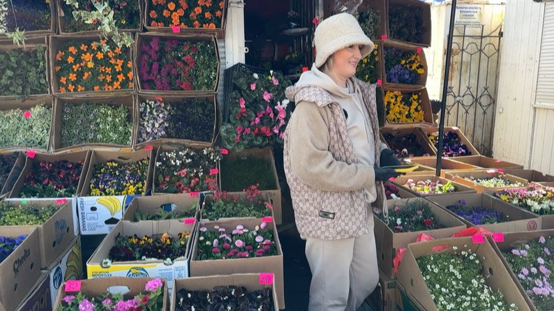 Квітникарка з Волині продає розсаду на ринку та веде ТікТок
