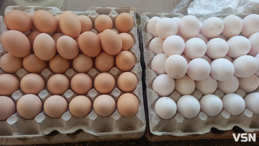 Скільки коштують фабричні та домашні яйця на ринку у Луцьку?