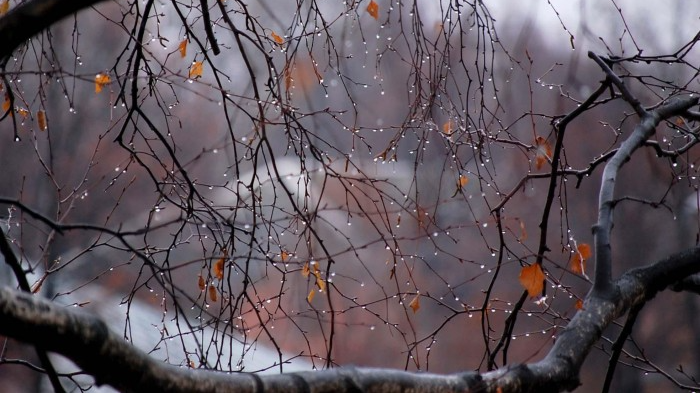 погода в Україні