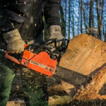 Незаконно зрізав шість вільх: на Волині чоловіка оштрафували на 17 тисяч гривень