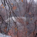 прогноз погоди в Україні