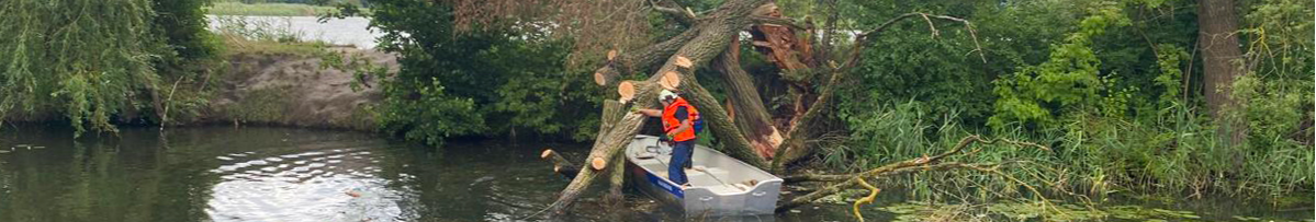 Біля Луцька в річку впало дерево 