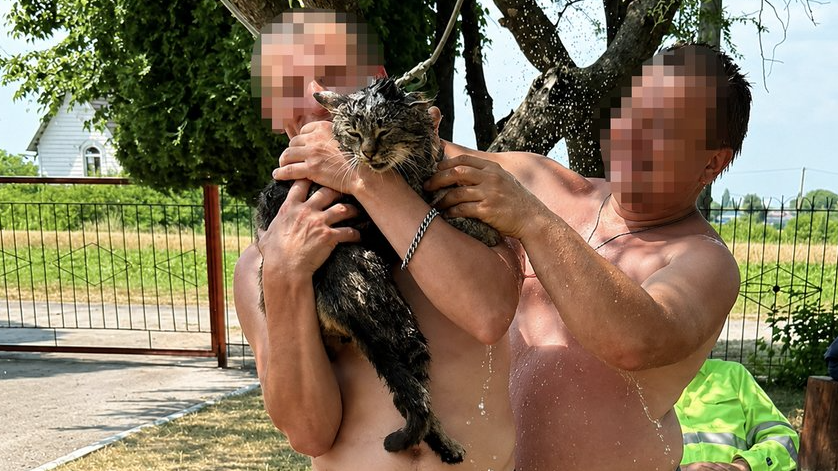 Мили кота під душем: на Волині волонтерка вимагає перевірити психоневрологічний інтернат через жорстоке поводження з твариною