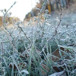 прогноз погоди на 24 листопада