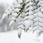 Церковне свято 1 лютого: яка погода на Трифона – таким буде весь лютий