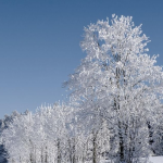 Аномальні морози на Волині: скільки ще триматиметься холод