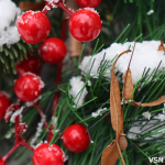 Чим здивує погода на Новий рік на Волині: сніг, поривчастий вітер і ожеледиця