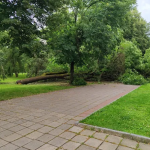 У Центральному парку Луцька буревій повалив на алею величезне дерево