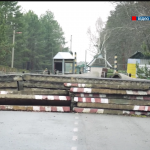 Лісом через кордон: волиняни дедалі частіше обирають білоруський напрямок для незаконного перетину