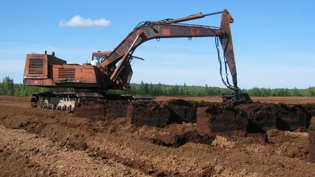 Біля Луцька чоловік незаконно викопав 440 кг торфу: як його покарали