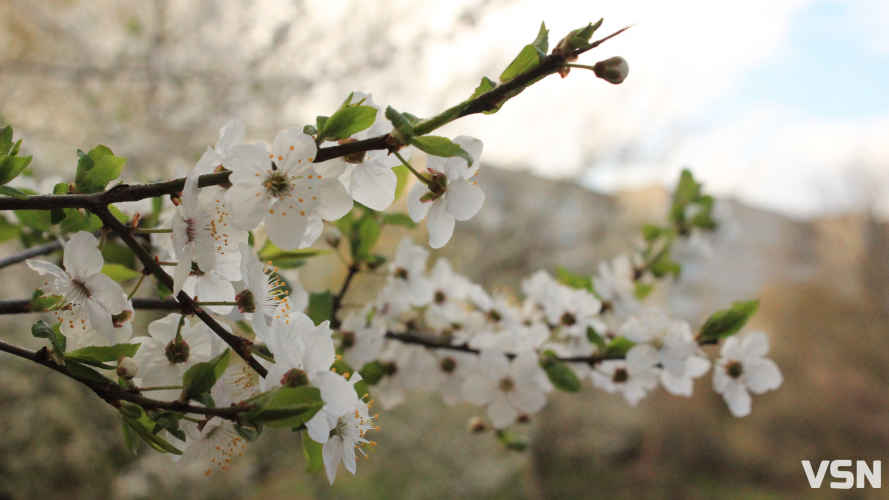 Компенсація за посушливий березень: якою буде погода у квітні на Волині