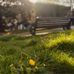 Як змінюється навесні місто на Волині. Фоторепортаж