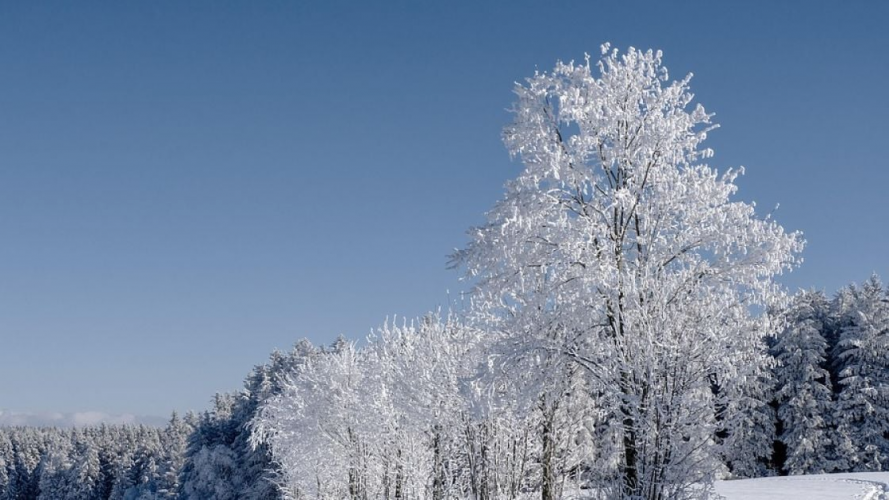 Аномальні морози на Волині: скільки ще триматиметься холод