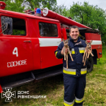 оленят врятували з пожежі, новини Рівненщині