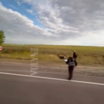 Смертельна ДТП у Луцькому районі: загинув 16-річний хлопець, пасажир — у лікарні