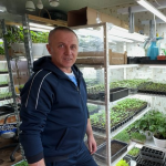 Подружжя з Волині поділилося секретами вирощування міцної розсади