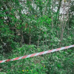 У Луцьку поблизу Стиру знайшли мертву жінку: триває розслідування