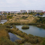 На Волині знайшли мертвою жінку, яка зникла 4 місяці тому