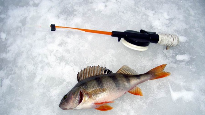Календар рибалки на лютий 2026 року: в які дні і як взимку ловити трофейну рибу