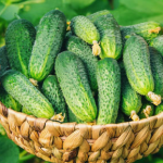 Один інгредієнт — і огірки ростуть швидше: перевірений спосіб