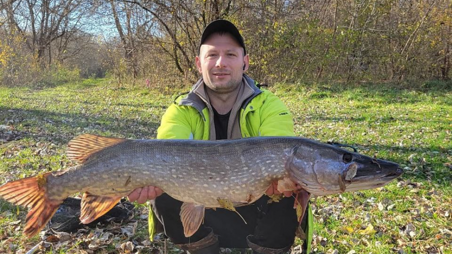щуку впіймав рибалка у річці Горинь на Рівненщині