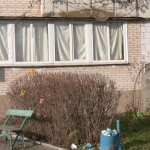 У Луцьку чоловік два тижні приховував тіло вбитої матері в квартирі - що відомо