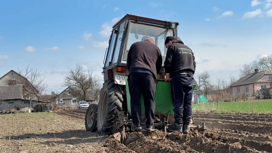 «Треба побавитися»: як у волинському селі вирощують городину і тримають господарство