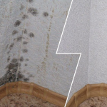 Як за 10 хвилин без хімії позбутися плісняви на стінах