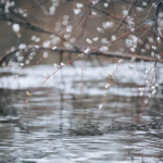 дощі , похолодання, прогноз погоди