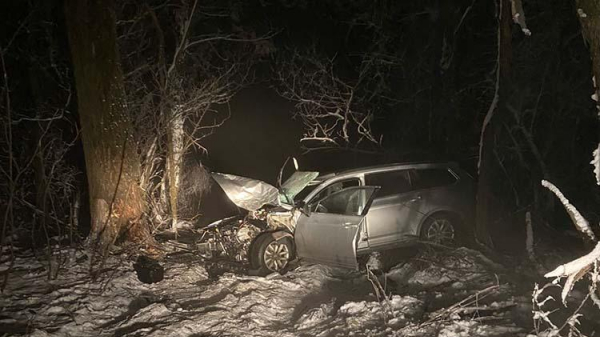 Водій БМВ, який на Волині в'їхав у дерево, відбувся штрафом