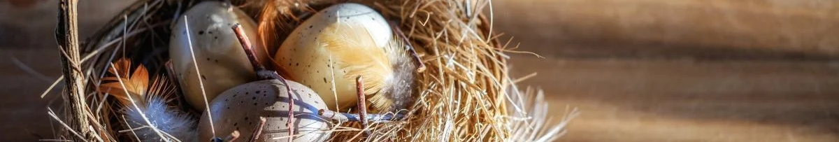 Сім днів після Великодня: що можна, а чого категорично не можна робити у Світлий тиждень