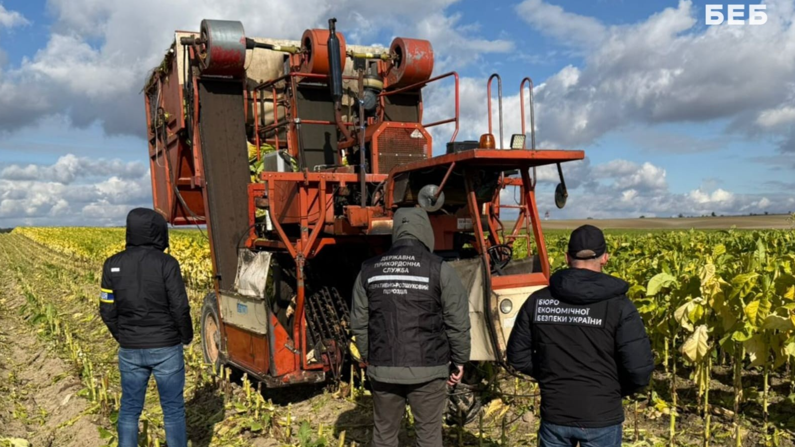 Промислові масштаби й збитки на 5 млн грн: на Волині ліквідували тіньове виробництво тютюну