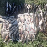 На Волині пенсіонера оштрафували на 116 тисяч за незаконну риболовлю