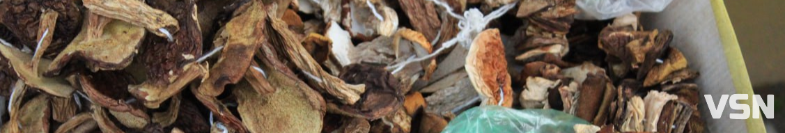 Дорожчі за м'ясо: скільки коштують сушені гриби на ринку у Луцьку?