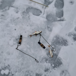 Рейди у Шацькому нацпарку: інспектори вилучили десятки заборонених пасток