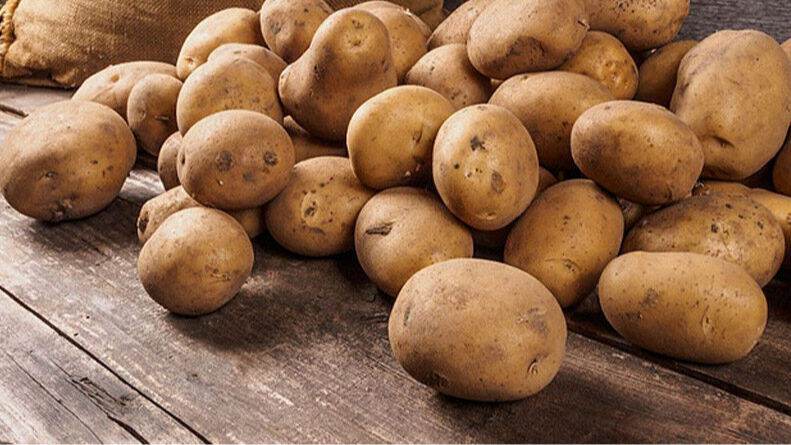 Перестаньте садити картоплю «на око»: орієнтуйтеся на одну прикмету, яка ніколи не підведе