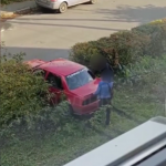 Авто витягували з кущів: у Луцьку на 34 тисячі оштрафували водійку, яка в’їхала в будинок і втекла