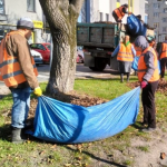 Луцька міська рада звернулася до Міноборони щодо збільшення кількості заброньованих комунальників