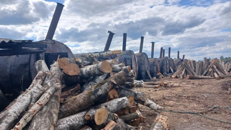 На Волині продають виробництво деревного вугілля