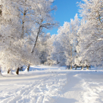 На Волині прогнозують сніг