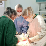 На Волині 38-річній жінці успішно видалили пухлину матки