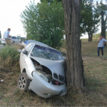 На Волині п’яний студент на автівці врізався в дерево: пасажир отримає 100 тисяч гривень моральної шкоди
