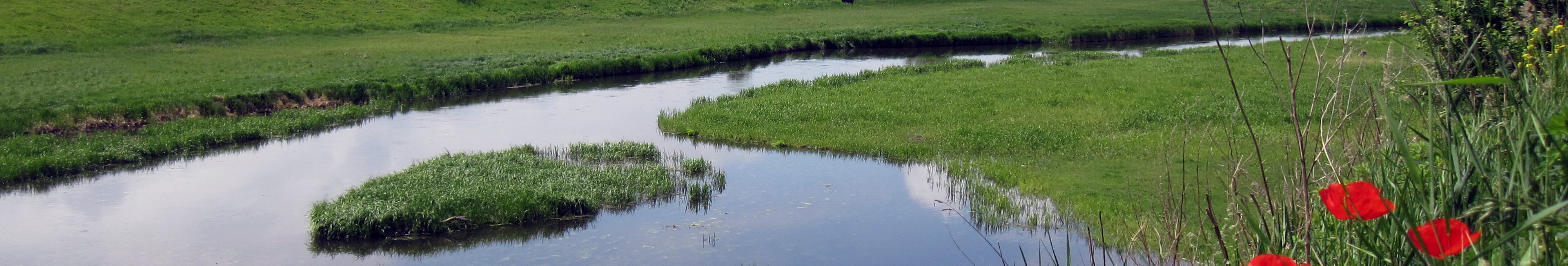 Дві громади на Волині поставили під загрозу гідрологічний заказник